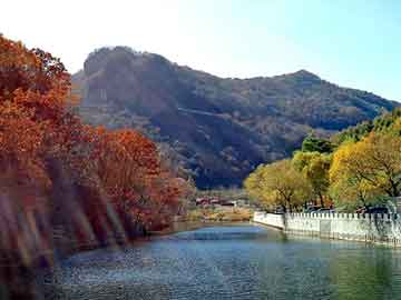 新澳天天开奖资料大全旅游团，卡宴论坛